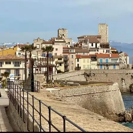 Confort Moderne Au Cœur D'antibes Appartement